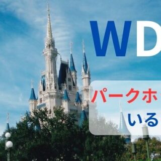 WDW　パークホッパー-320x320.jpg